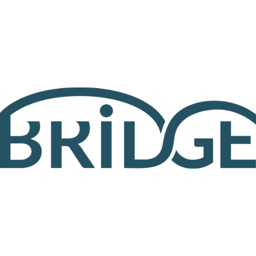 Logo mit Schriftzug BRIDGE in blau